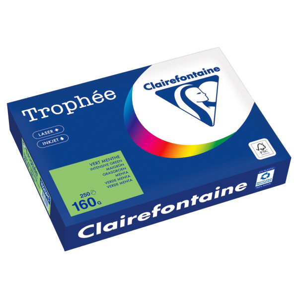 Clairefontaine Kopierpapier 1025PC A4 160g maigrün 250Bl 