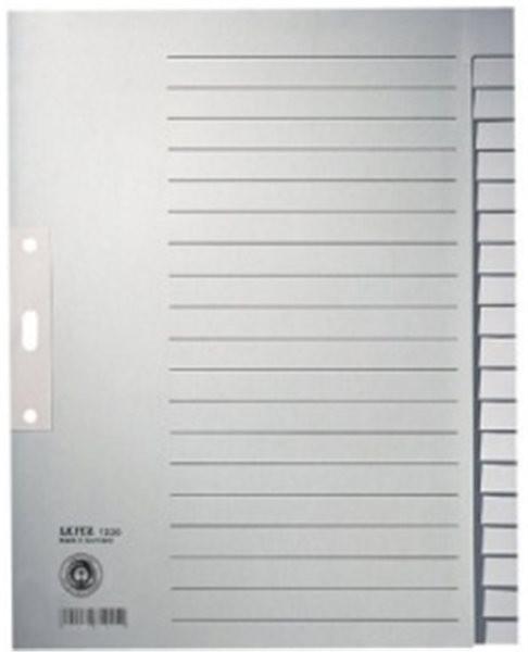 Register blanko A4 20-teilig Tauenpapier Leitz 100g grau 240x300mm Tab verstärkt