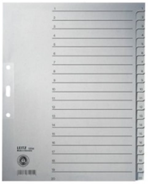 Register 1-20 A4 Tauenpapier Leitz 100g grau 240x300mm (1234-00-85) 