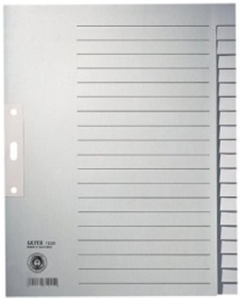 Register blanko A4 20-teilig Tauenpapier Leitz 100g grau 240x300mm Tab verstärkt 